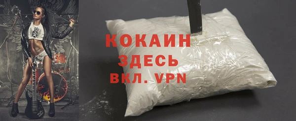 сатива Армянск