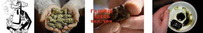 сатива Армянск