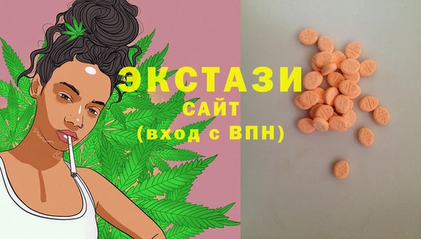 гашик Аркадак