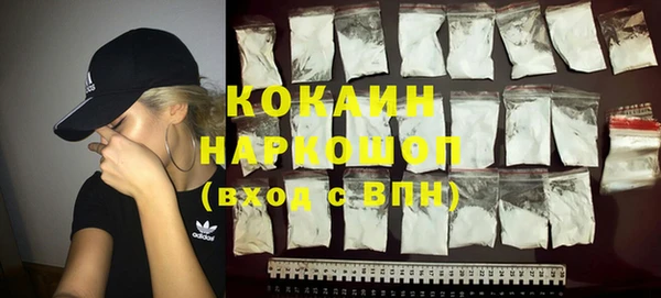 гашик Аркадак